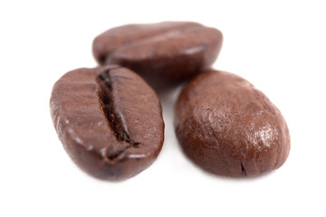 coffee bean isolated