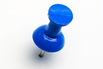 punaise bleu
