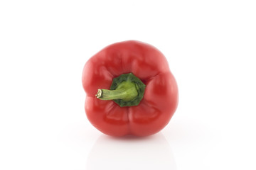 bulgarian pepper