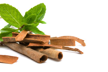 peppermint (Mentha piperita) and cassia-bark over white