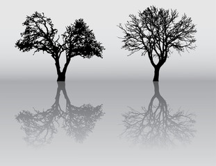 Two beautiful winter tree silhouettes, highly detailed.