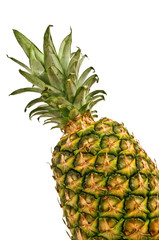 Fototapeta premium Isolated pineapple