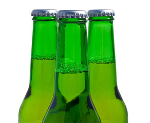 Three green beer bottles in a white background