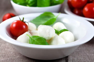 Mozzarella with fresh tomatoes and basil