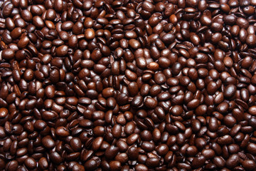 Coffee grains, can be use as background