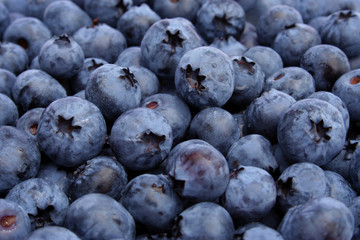 Blaubeeren