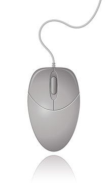 Grey Computer Mouse. Vector Illustration.