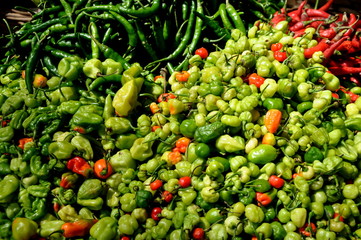Chili - Capsicum