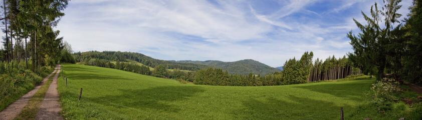 summer landscape at Germany with blue sky and mountain