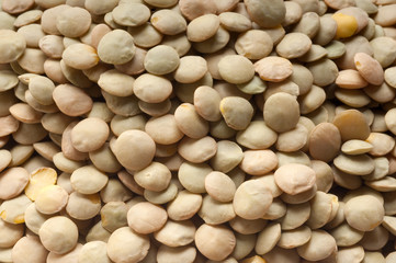 lentils close up