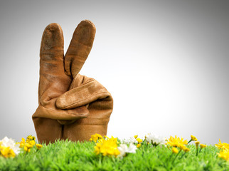 leather gloves show victory in the meadow