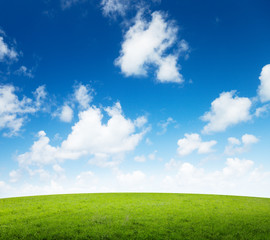 field of grass and perfect sunset sky