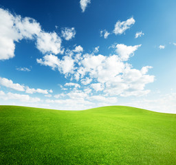 field of grass and perfect sunset sky