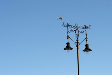 Fototapeta na wymiar lamp post and pigeon
