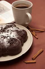 chocolate cake with icing sugar