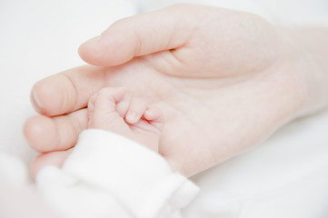 Fototapeta na wymiar Mama i dziecko ręce