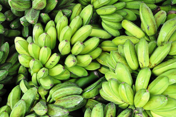 Green Bananas