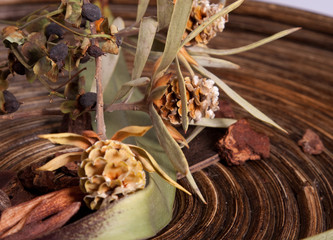 AUTUMN TIME - LONELY MOMENTS