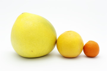 Family of citrus