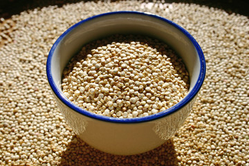 quinoa