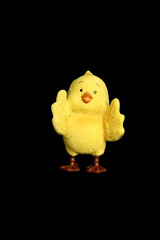 Easter chick