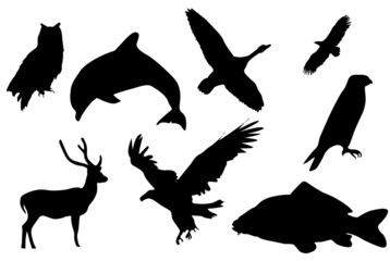 Black silhouette of animals