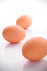 Eier