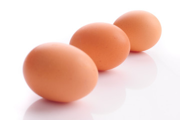Eier