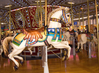 carousel © archana bhartia