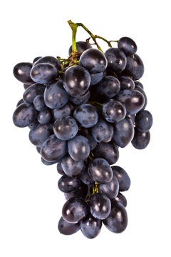 The branch of grapes isolated, on a white