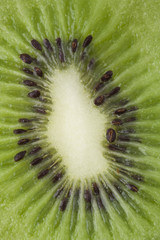 Close up of kiwi