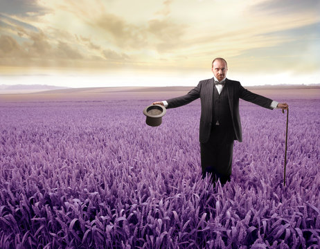 Magic meadow