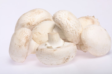ripe mushroom isolated on white background