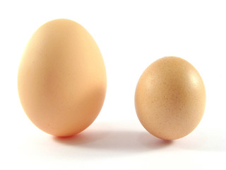 Two chicken eggs
