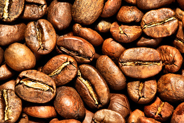 Coffee beans background