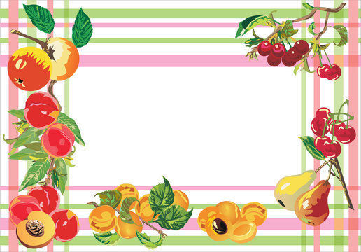 fruit frame isolated on white