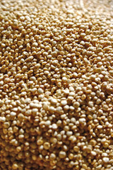 quinoa