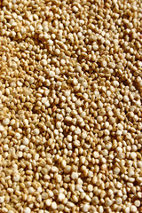 quinoa