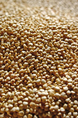 quinoa
