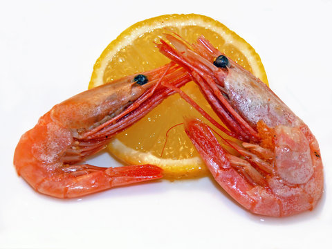 Shrimps & lemon