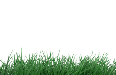 Obraz premium Gras