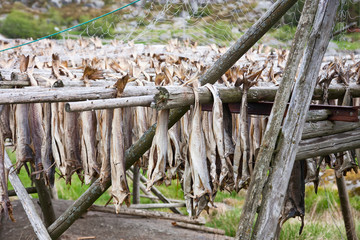 Cod stockfish