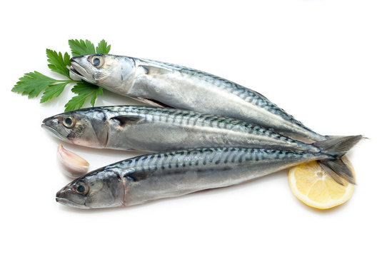 mackerel ready to cooking