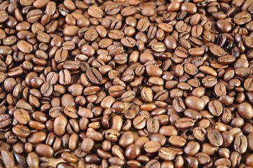 coffee beans background