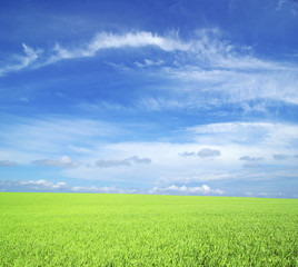 green field