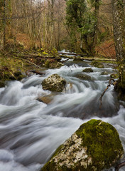 Fototapeta premium Río en otoño