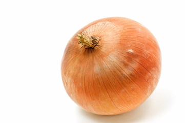 Spanish onion