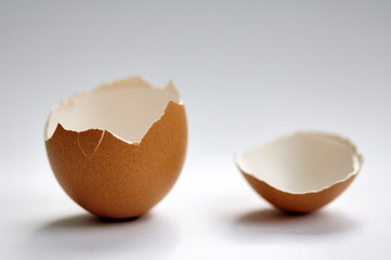 Oeuf vide.