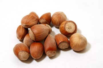Noisettes