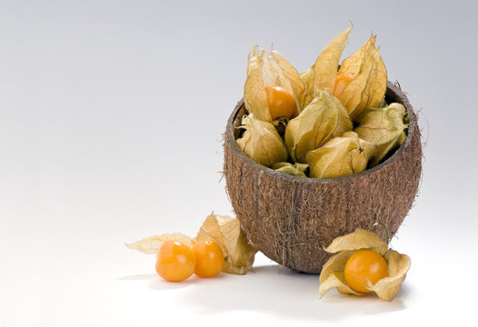 physalis berries in coconut shell composition